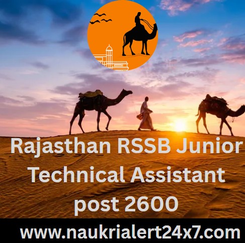 You are currently viewing Rajasthan RSSB Junior Technical Assistant JTA & Accounts Assistant 2024 Recruitment 2024 Exam City Details for 2600 Post